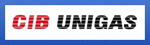 Газовые горелки Cib Unigas R91A, R92A, R93A, R512A, R515A, R520A, R525A