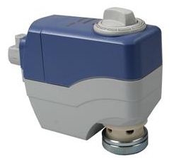 SSC81